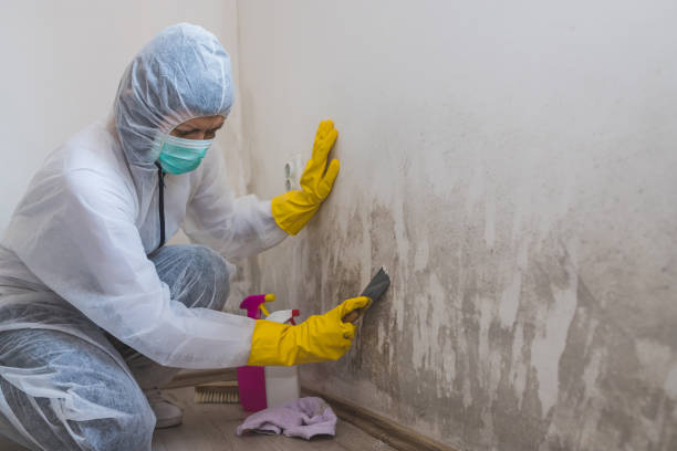 Best Post-Construction Mold Inspection  in Pottstown, PA