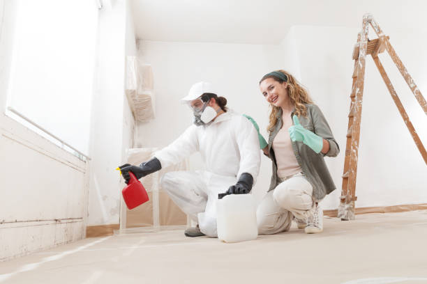 Pottstown, PA Mold Removal Company